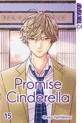 Promise Cinderella 15