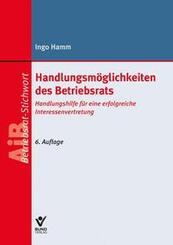 Handlungsm&ouml;glichkeiten des Betriebsrats