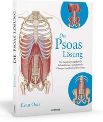 Die Psoas-L&ouml;sung