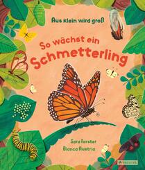 Aus klein wird gro&szlig;. So w&auml;chst ein Schmetterling