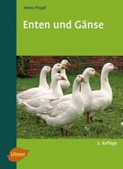 Enten und G&auml;nse