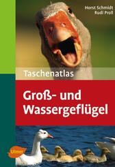 Taschenatlas Gro&szlig;- und Wassergefl&uuml;gel
