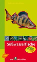 Steinbachs Naturf&uuml;hrer S&uuml;&szlig;wasserfische