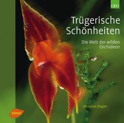 Tr&uuml;gerische Sch&ouml;nheiten
