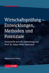 Wirtschaftspr&uuml;fung - Entwicklungen, Methoden und Potenziale