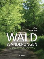 Waldwanderung in Schleswig-Holstein