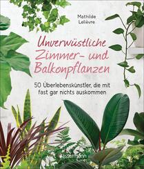 Unverw&uuml;stliche Zimmer- und Balkonpflanzen