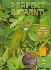 Perfekt getarnt!