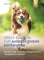 Spiele und Action f&uuml;r ausgeglichene H&uuml;tehunde