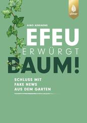 Efeu erw&uuml;rgt Baum