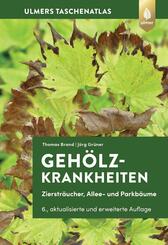 Geh&ouml;lzkrankheiten