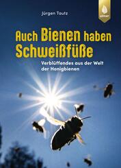 Auch Bienen haben Schwei&szlig;f&uuml;&szlig;e