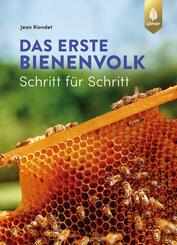Das erste Bienenvolk  - Schritt f&uuml;r Schritt
