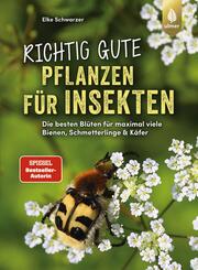Richtig gute Pflanzen f&uuml;r Insekten