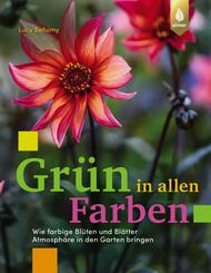Gr&uuml;n in allen Farben