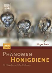 Ph&auml;nomen Honigbiene