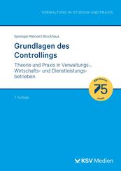 Grundlagen des Controllings