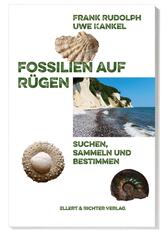 Fossilien auf R&uuml;gen