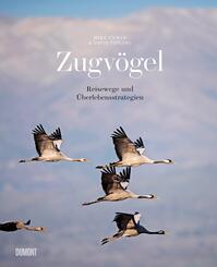 Zugv&ouml;gel