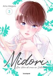 Midori - Der Freund meiner Schwester - Band 3