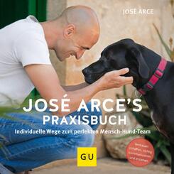 Jos&eacute; Arce's Praxisbuch