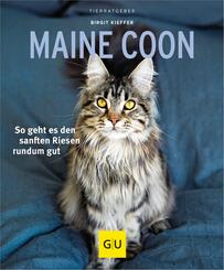 Maine Coon