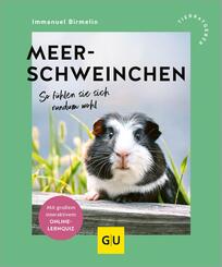 Meerschweinchen