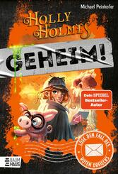 Holly Holmes: L&ouml;se den Fall des roten Dreiecks