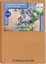 Meine Sinne - Eine Werkstatt - Klasse 1/2