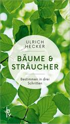 B&auml;ume und Str&auml;ucher