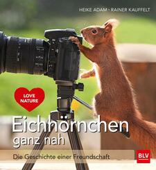 Eichh&ouml;rnchen ganz nah