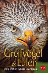 Greifv&ouml;gel & Eulen