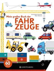 Mein gro&szlig;es Buch der Fahrzeuge
