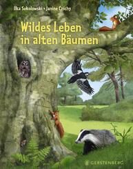 Wildes Leben in alten B&auml;umen