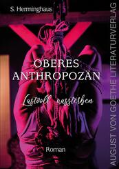 Oberes Anthropoz&auml;n