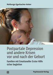 Postpartale Depression und andere Krisen vor und nach der Geburt