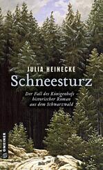 Schneesturz - Der Fall des K&ouml;nigenhofs