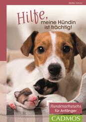 Hilfe, meine H&uuml;ndin ist tr&auml;chtig!