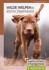 Wilde Welpen & kleine Jagdnasen