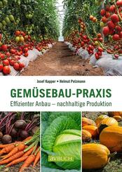 Gem&uuml;sebau-Praxis