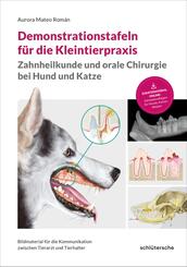 Demonstrationstafeln f&uuml;r die Kleintierpraxis, Zahnheilkunde und orale Chirurgie bei Hund und Katze