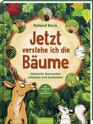 Jetzt verstehe ich die B&auml;ume