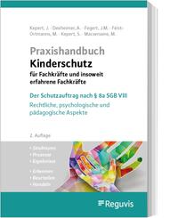 Praxishandbuch Kinderschutz f&uuml;r Fachkr&auml;fte und insoweit erfahrene Fachkr&auml;fte