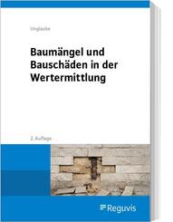 Baum&auml;ngel und Bausch&auml;den in der Wertermittlung