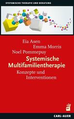 Systemische Multifamilientherapie