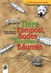 Die Becherlupen-Kartei: Tiere in Kompost, Boden und morschen B&auml;umen