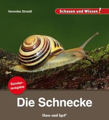 Die Schnecke