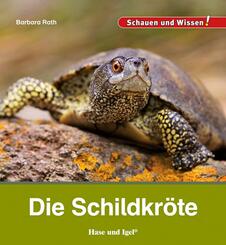 Die Schildkr&ouml;te