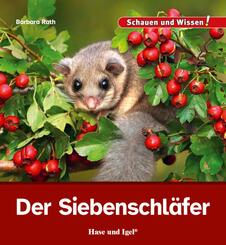 Der Siebenschl&auml;fer