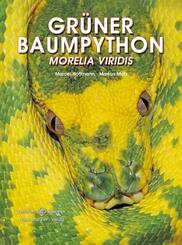 Gr&uuml;ner Baumpython